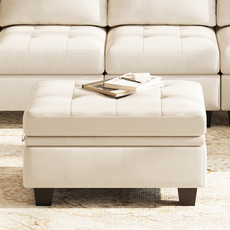 Shavera Upholstered Multifunctional Removeable Storage Ottoman, Beige