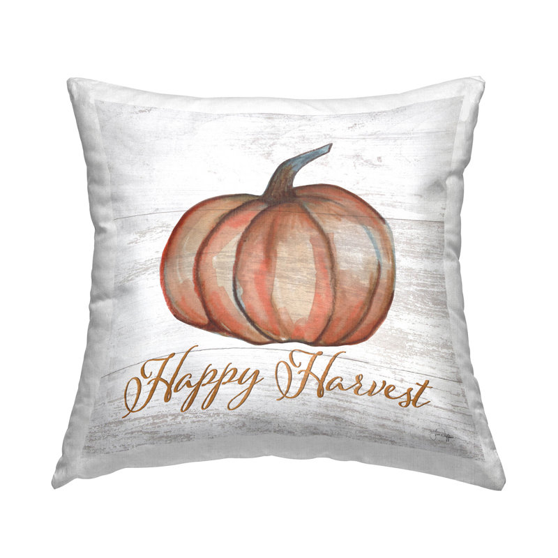 Housse et insert de coussin décoratif en polyester