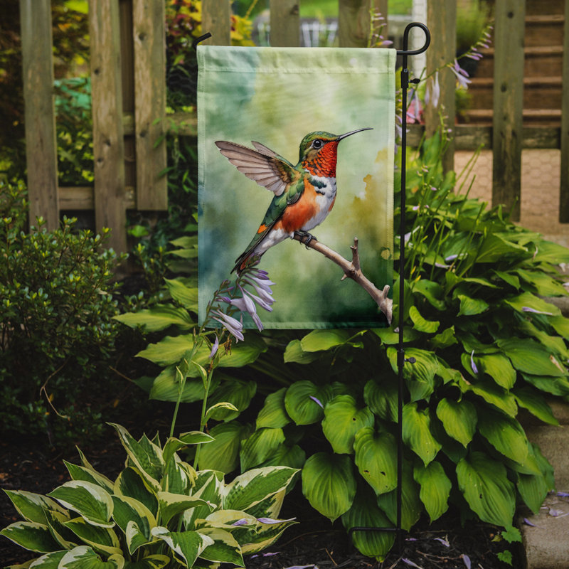 Drapeau de jardin, Colibri Allens