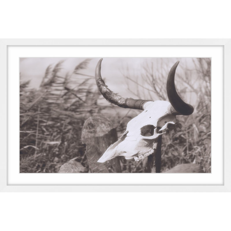 Parvez Taj - Single Picture Frame Print, 41cm H x 61cm W x 3.81cm D