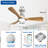 42 Inch Wood Smart Flush Mount Ceiling Fan with Lights and Remote, 3 Blade Dimmable Indoor Outdoor Fan Work with Alexa Remote APP Ultra Quiet DC Motor Timer 6 Speeds-1480106681-1480106659-1480106680