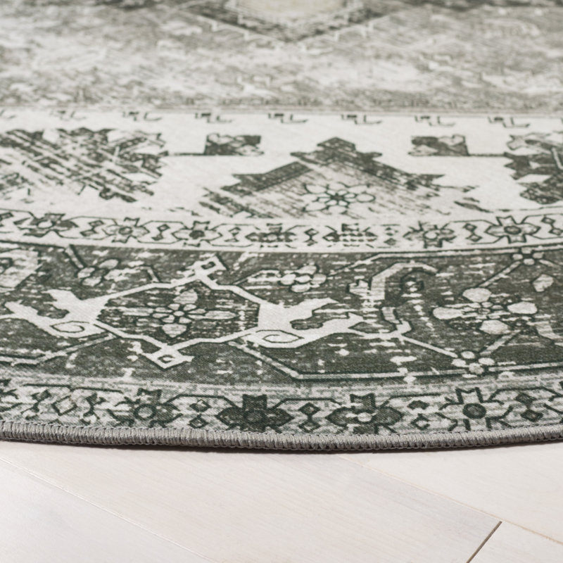 DeBary Oriental Dark Sage/Ivory Area Rug, Round 5'