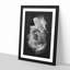 Rose Flower - Picture Frame Graphic Art Print-56857650-56857653
