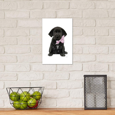 Black Labrador by Amanda Greenwood - Wrapped Canvas Painting