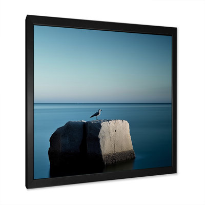 " Coastal Seagul Scenery Minimalism "