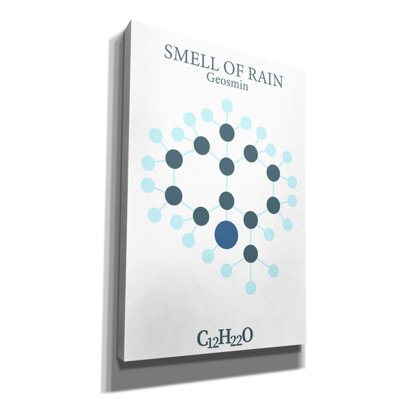 «Smell Of Rain Molecule» par Maxim, H 18 po x l 12 po x P 0,75 po