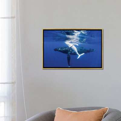 «The Dancing Whale» par Jordan Robins - reproduction d'art