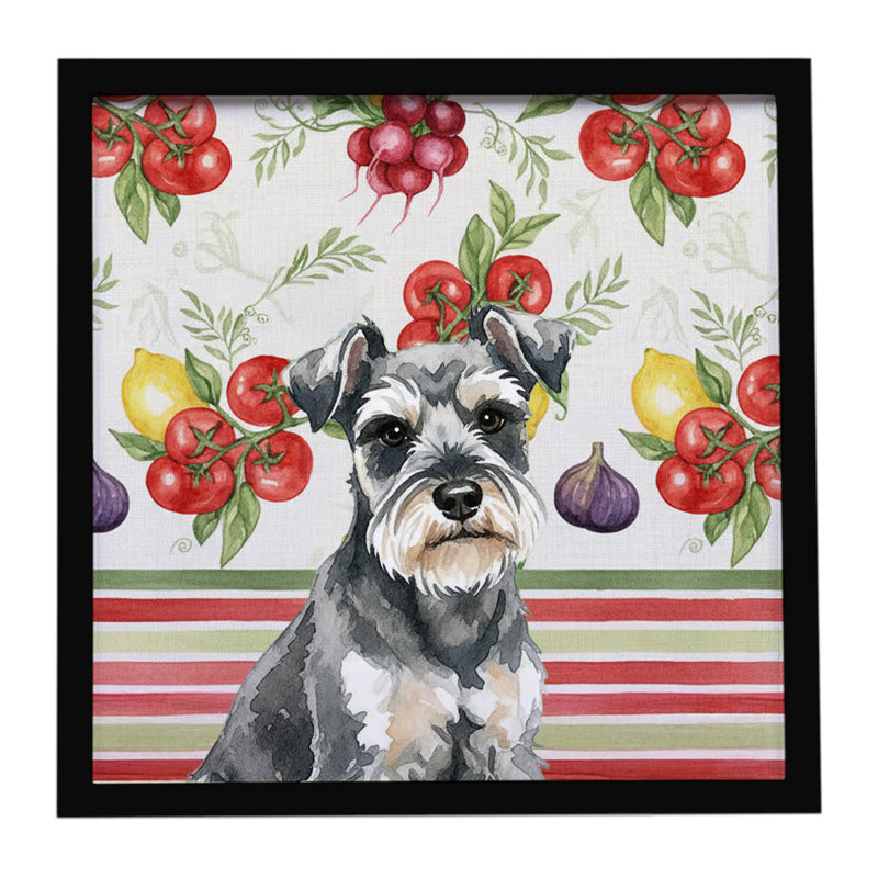 Schnauzer miniature, impression sur métal encadrée, Gris
