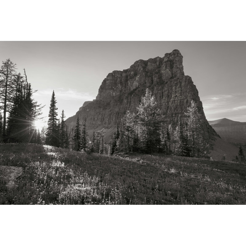 Parc national de Boulder Pass Glacier BW, H 32 po x l 48 po