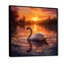 Cygne blanc, coucher de soleil romantique-574557628-574557629