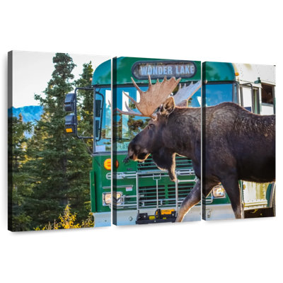 Denali Moose