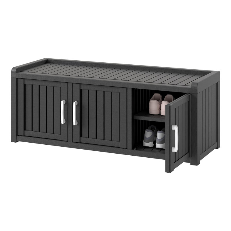Armoire de rangement pour chaussures d'extérieur, Noir