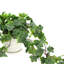 Arrangement de lierre dans un pot en céramique avec soucoupe