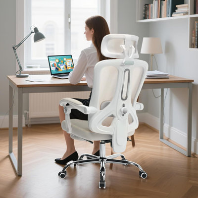 Ergonomic Mesh Office Chair with Footrest - High-Back Swivel Desk Chair with Headrest & Adjustable Lumbar Support for, Office, Gaming (Black) by Inbox Zero