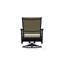 Wexler Outdoor Swivel Lounge Chair-1099678798-1102391103