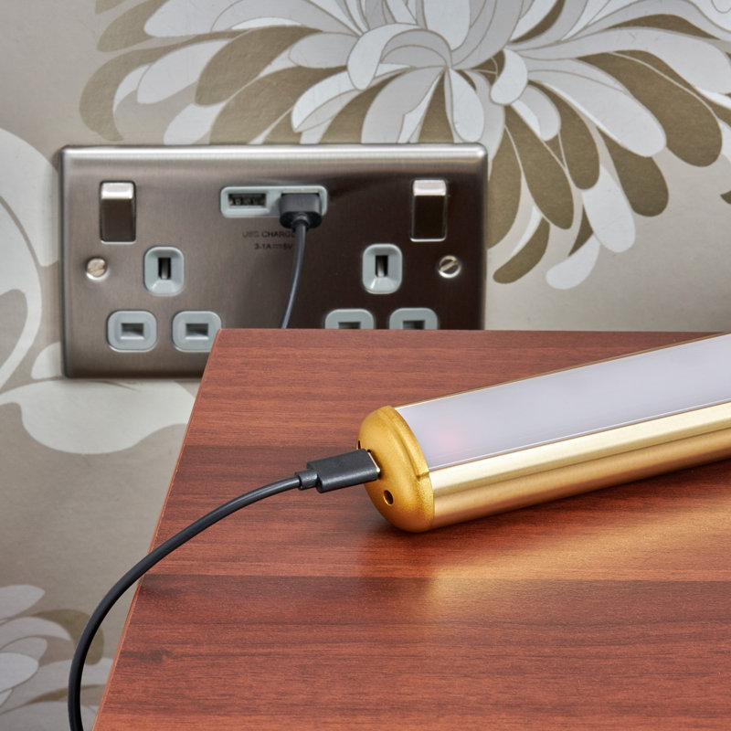 Battery Powered Dimmable LED Wall Mount Picture Light, Brass