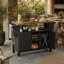 Chariot-bar extérieur avec roulettes - armoire de rangement en résine et table de service, roulante à 360 °, imperméable et résistante aux rayons UV pour le patio, la piscine et la cour