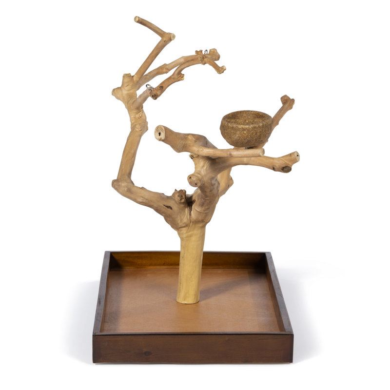 Medium Natural Brown Coffeawood Tabletop Bird Playstand