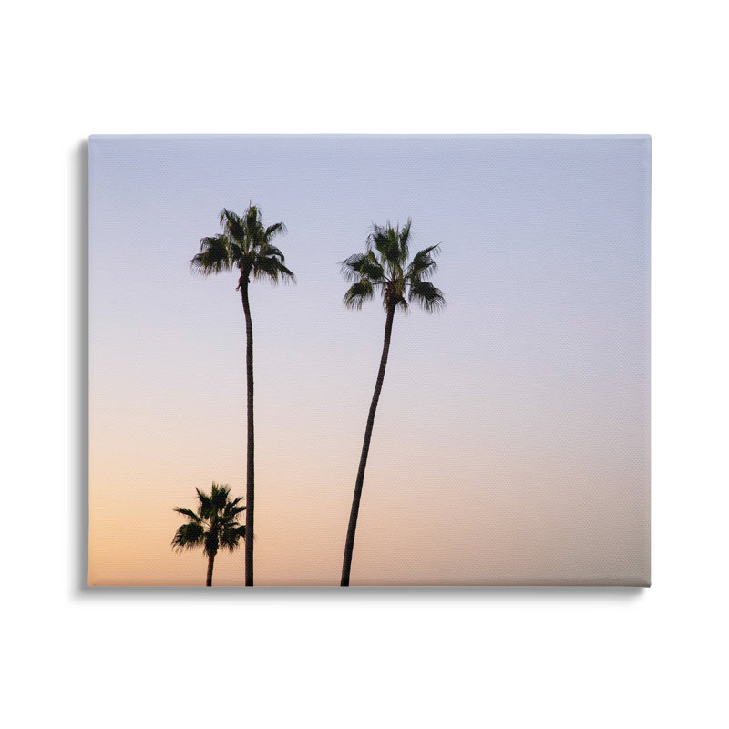 Photographie de Kathy Mansfield - photographie de palmiers tropicaux, Toile tendue, H 16 po x l 20 po x P 1,5 po