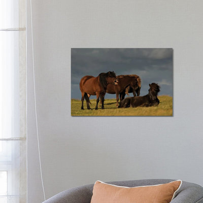 Jagger 1 Piece Wrapped Canvas Wall Art