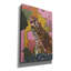 «Bungalow rose» par Stellar Design Studio, art mural sur toile-1032079122