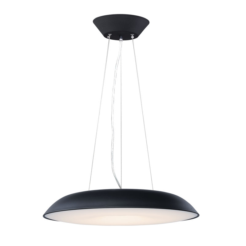 Luminaire suspendu 1 lumière à del unique Sera