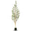 Faux olivier en pot-88363106