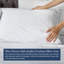Taie d'oreiller en percale 100% coton biologique percale, 400 fils au pouce carré, certifié GOTS, lisse et évacuant l'humidité-101683006-101683005