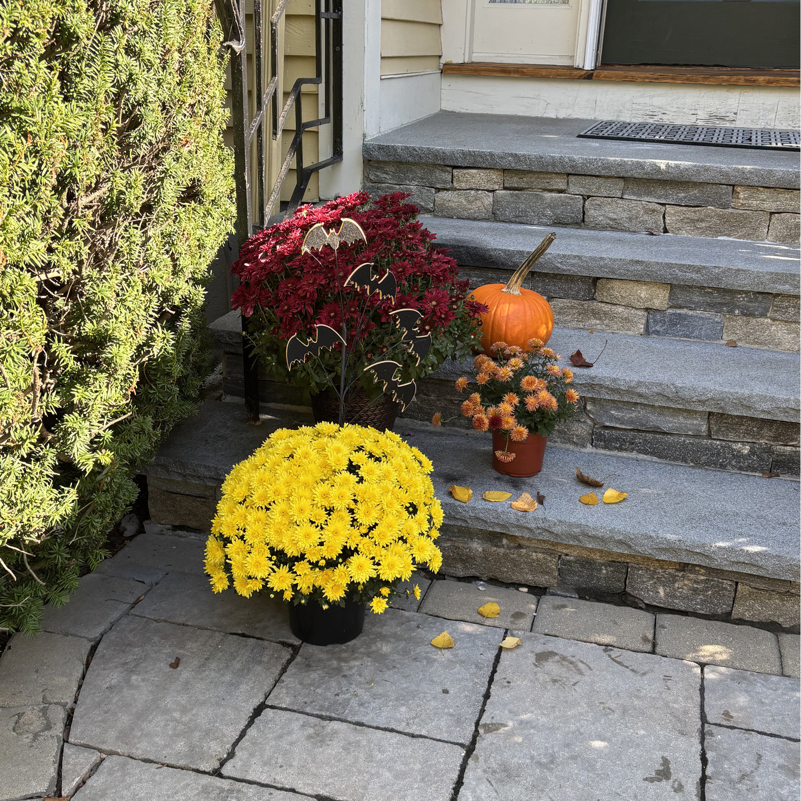 5-Piece Halloween Bats and Twigs Spray Set