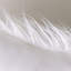 Coussin décoratif long en fausse fourrure, coussin d'appoint moelleux-1387759805-1385087378-1387759798