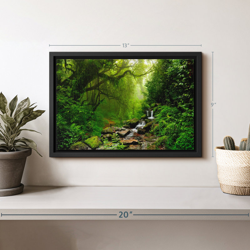 Forest Stream Canvas Print, 9" H x 13" W