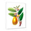 «Vintage Fruits I», reproduction sur toile encadrée-59649561-59649564