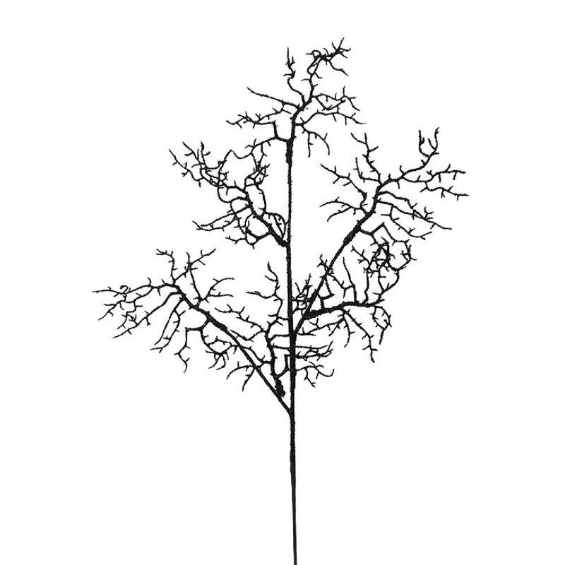 Ensemble de 12 vaporisateurs corail H 30 po - noir