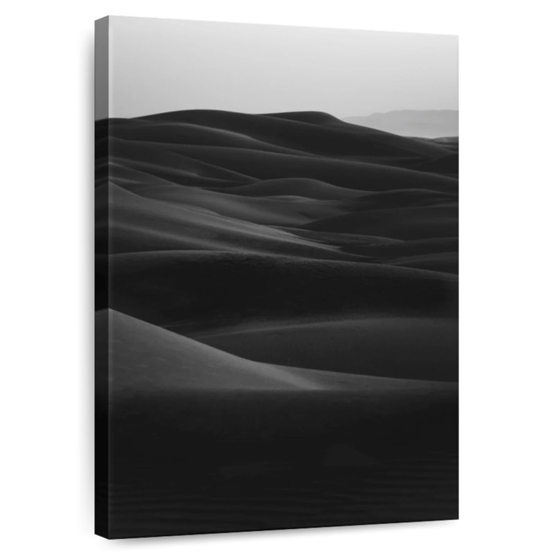 Dunes noires d'Alvord, H 30 po x l 20 po