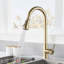 Fairmont Park Nerbone Pull Out Kitchen Faucet