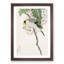 Masked Hawfinch & Silk Tree by Numata Kashu - Framed Print-55770767-55770769