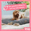Snug Furry Friends Pet Bed-68006180