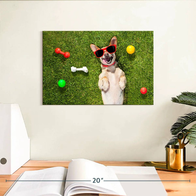 Ketti terrier chihuahua amusant, H 8 po x l 12 po
