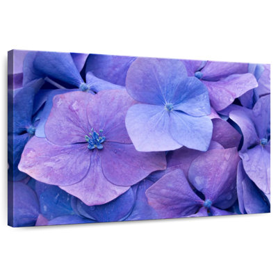 Harnek Purple Hydrangeas