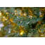 EATON FIR - Christmas Tree with Warm White Lights-106325894