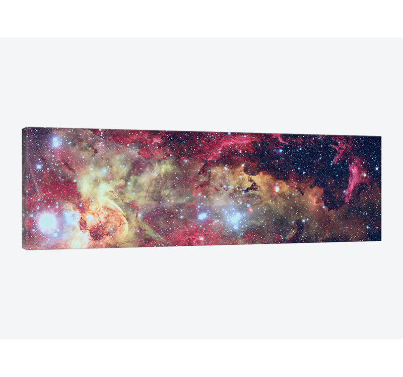« fire florals », reproduction de photo sur toile, H 16 po x l 48 po x P 1,5 po