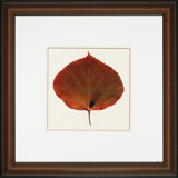 Nature Leaves IV Print