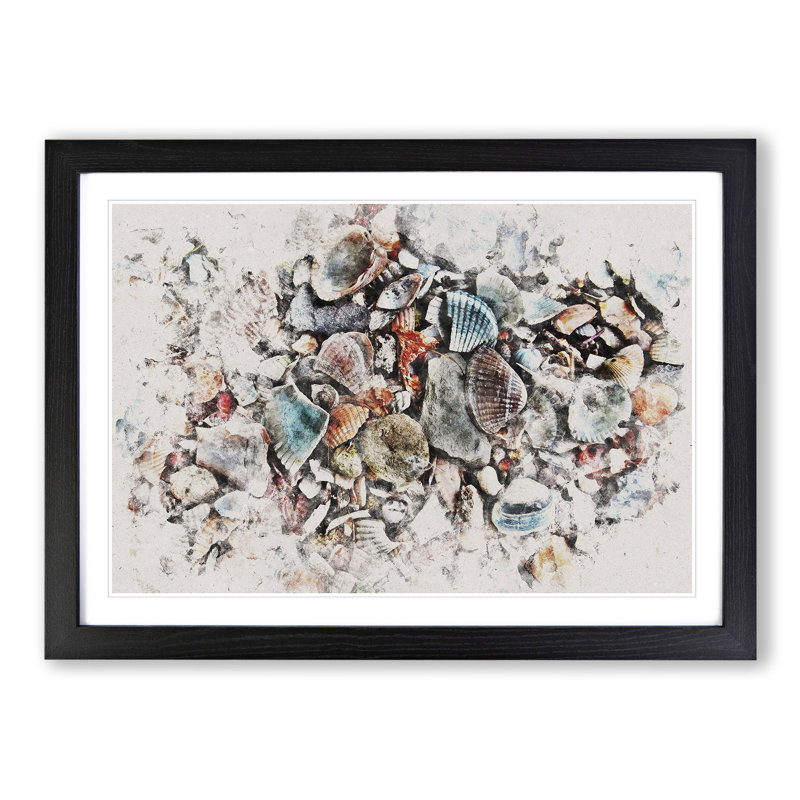 Shells on the Beach Vol.2 Watercolour - Picture Frame Graphic Art, 27cm H x 36cm W x 2cm D, Black