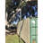 ELEDing Outdoor LED Motion Sensor Street Light with Solar Panels