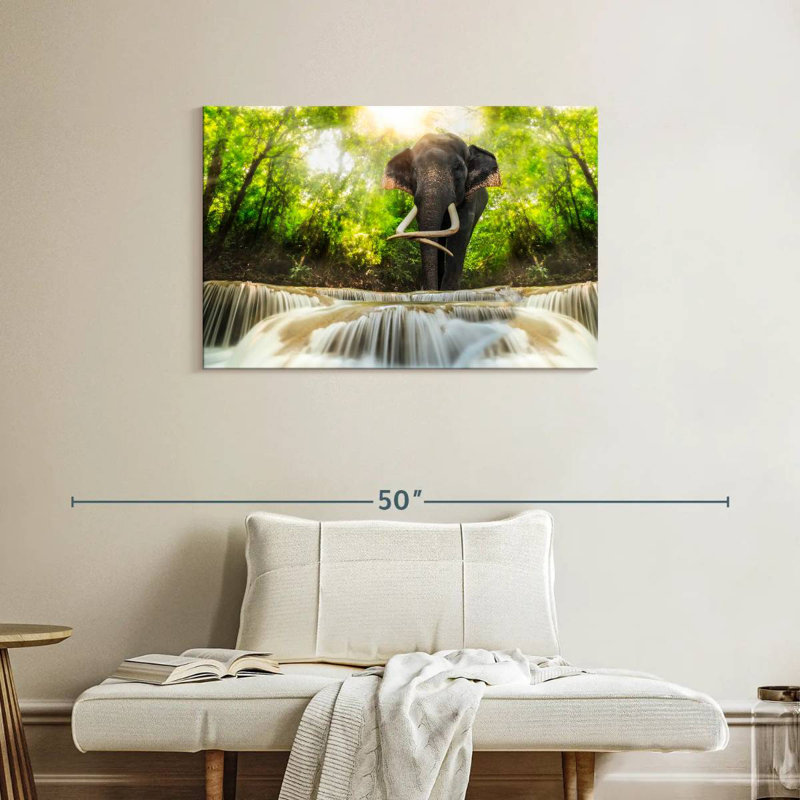 Brampt Waterfall Elephant