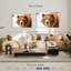 Regard d'ours grizzly-107703629