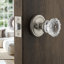 Classic Rosette with Crystal Door Knob-1189325749-1189325753