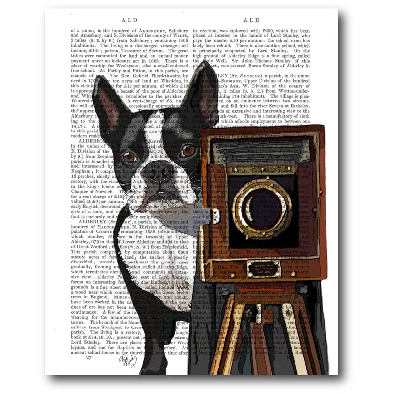 Boston terrier, impression sur toile tendue