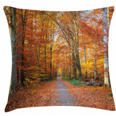 Pillow Cover