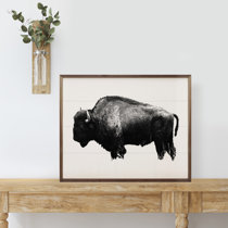 Foundry Select American Bison Roadside Yellowstone National Park Photo  Matted Framed Art Print Wall Decor 26x20 Inch Framed On Paper Print